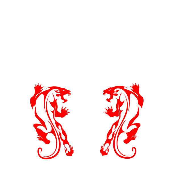 Aikido 2 model negru pe tricou