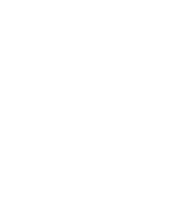 All men are created equal but only the best are born in november model gri închis pe tricou