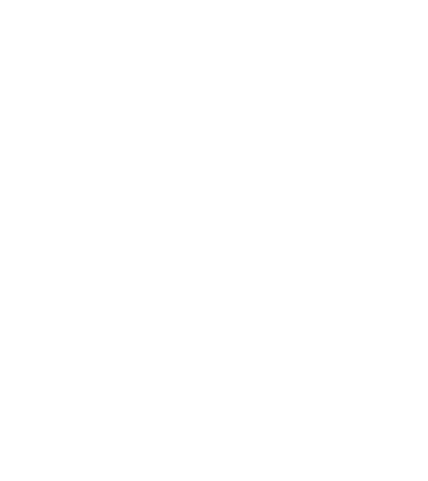 nu ai nicio idee despre munca în echipă dacă partenerul tău nu este un spirit liber de 500 de kilograme model negru pe tricou