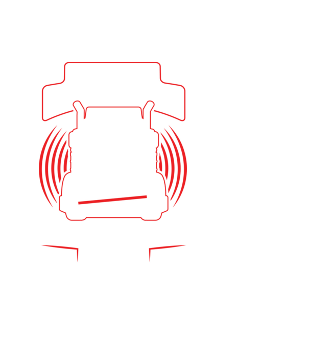Cu bac, fără bac, tot șofer de tir mă fac model negru pe tricou