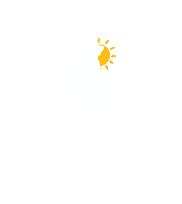 Minunată mamă de ursuleți model negru pe tricou