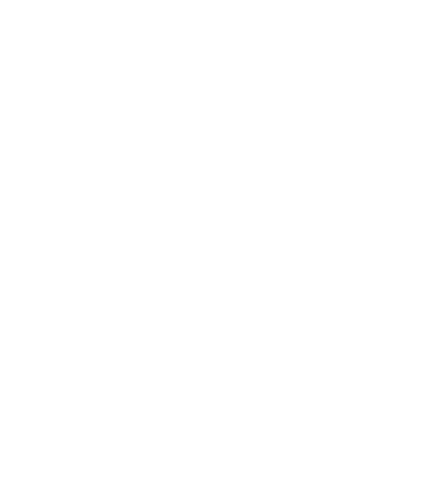 All men are created equal but only the best are born in february model negru pe tricou