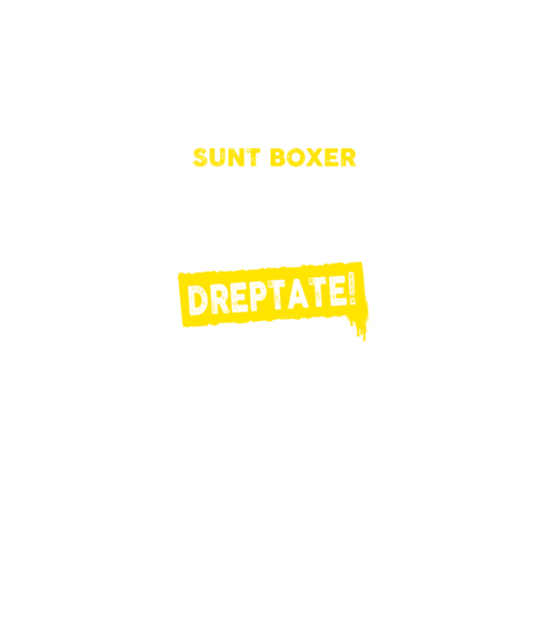 sunt boxer - pentru a economisi timp, să reținem că am întotdeauna dreptate model negru pe tricou