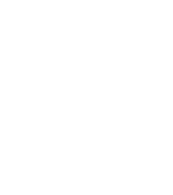 EarthLogo model negru pe tricou