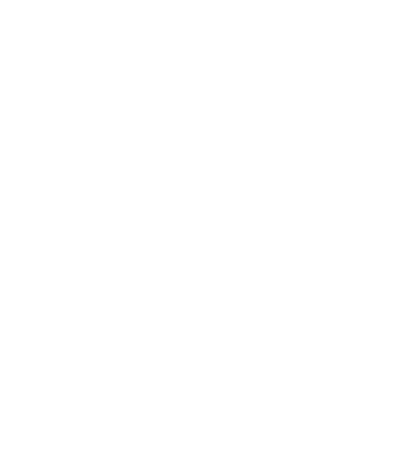 Așa arată un stăpân de Havanese foarte chipeș model negru pe tricou