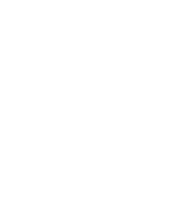 EarthLogo model negru pe tricou