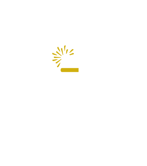 2022 loading model gri pe tricou
