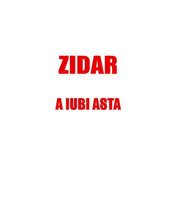 Sunt suficient de priceput pentru a fi ZIDAR și suficient de nebun pentru a iubi asta model negru pe tricou