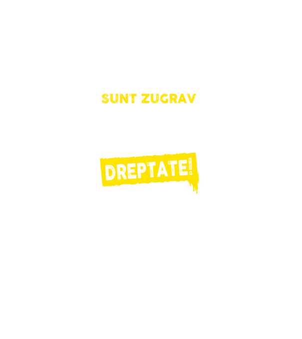 Sunt zugrav, pentru a economisi timp, să reținem că am întotdeauna dreptate! model negru pe tricou