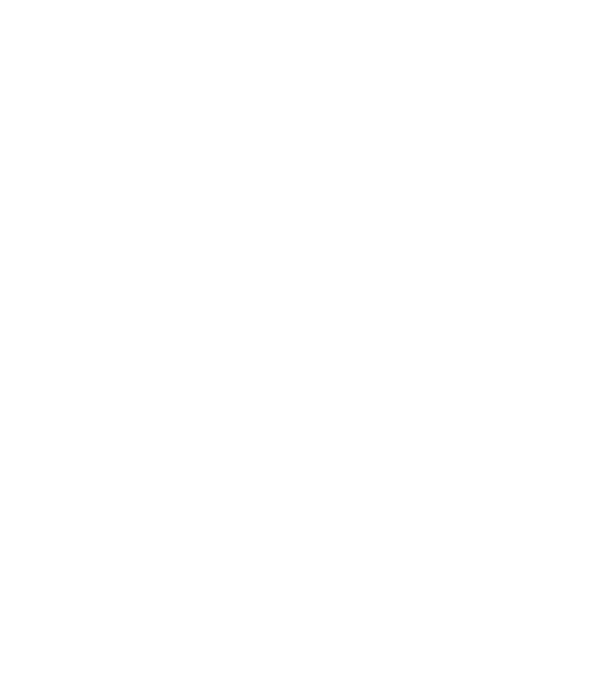Crazy Cat Ladies are born in November model negru pe tricou