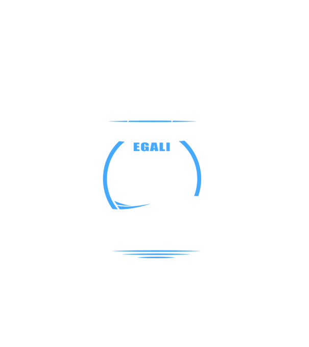 Toți bărbații se nasc egali macaragii model negru pe tricou
