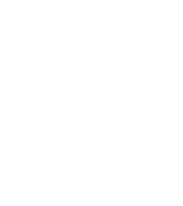 Meowtalica model turcoaz pe tricou