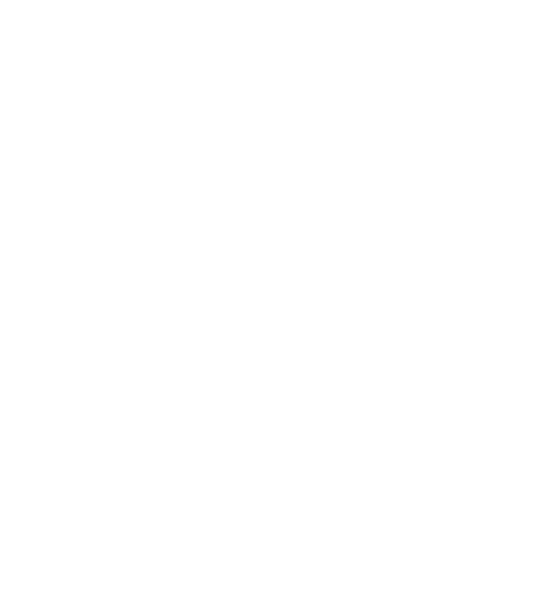 LOVE Border Collie model negru pe tricou