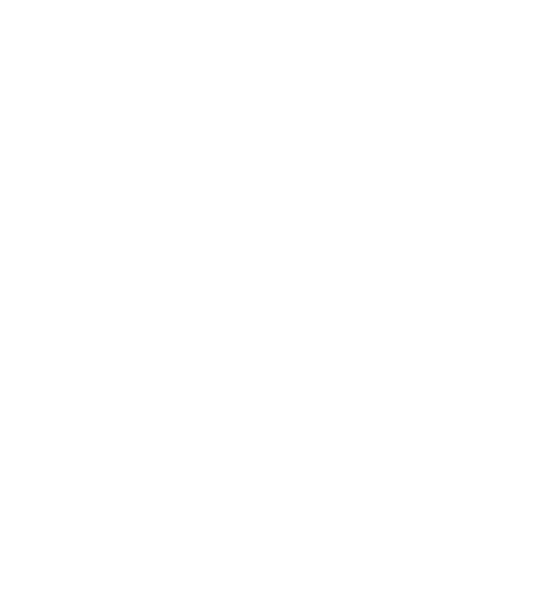 Vegan definition model negru pe tricou