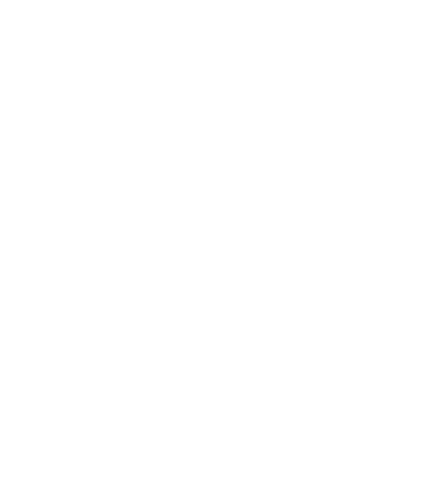 Box evolution model negru pe tricou