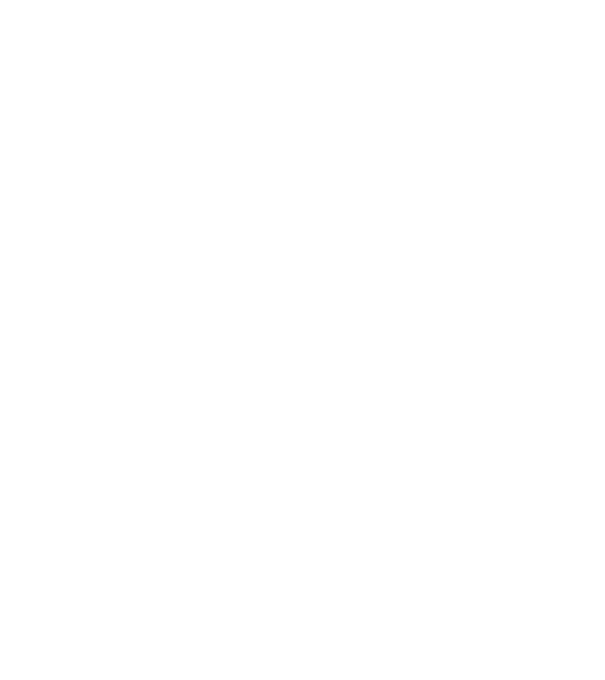 Mr. model negru pe tricou