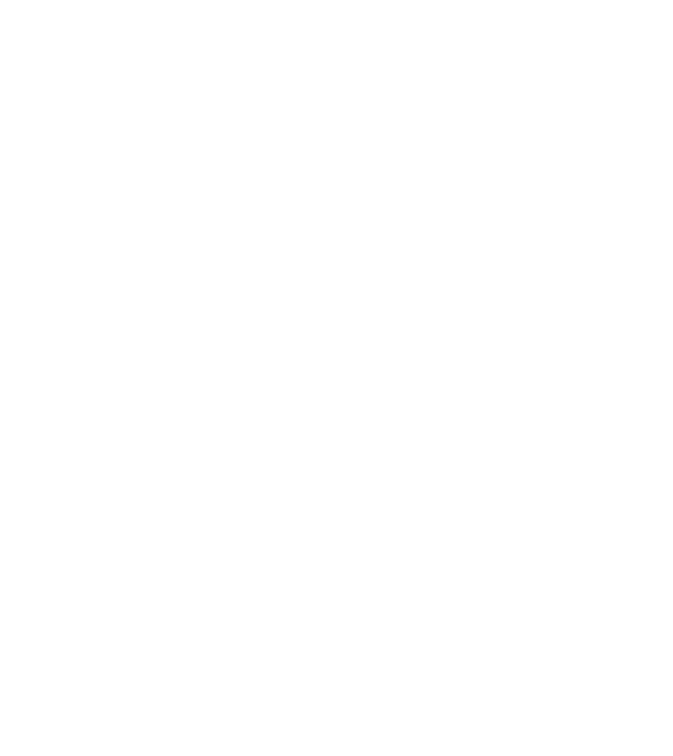 Crazy Cat Ladies are born in April model negru pe tricou