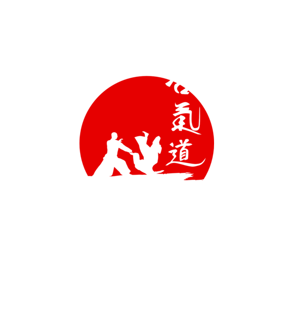 Aikido model negru pe tricou