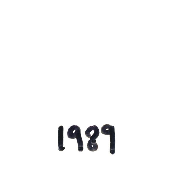 Taylor Swift 1989 text model roz deschis pe tricou