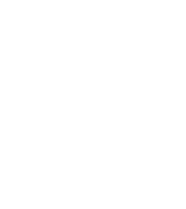 LOVE Havanese model negru pe tricou
