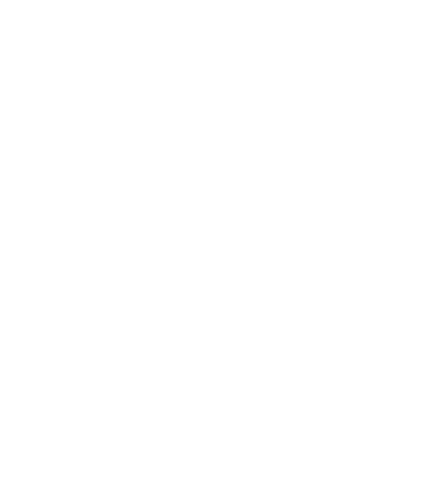 'Rock''n''Roll whiskey' model negru pe tricou