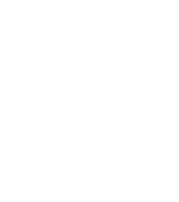 Crazy Cat Ladies are born in December model negru pe tricou