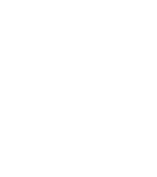 LOVE Havanese model negru pe tricou