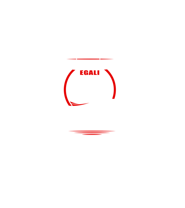 Toți bărbații se nasc egali zidari model negru pe tricou