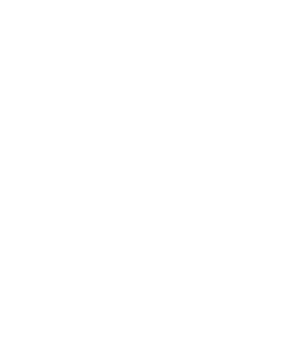 Respect the fish model negru pe tricou