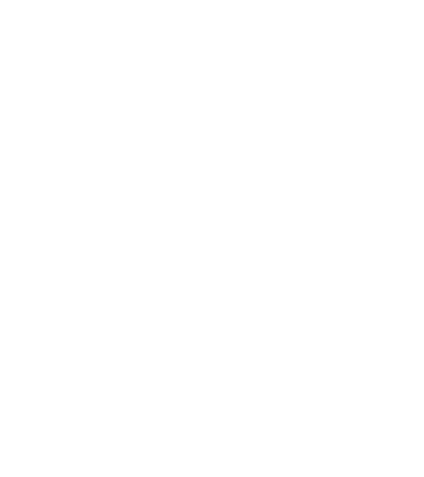 Box evolution model negru pe tricou