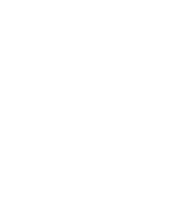 Freedom model turcoaz pe tricou