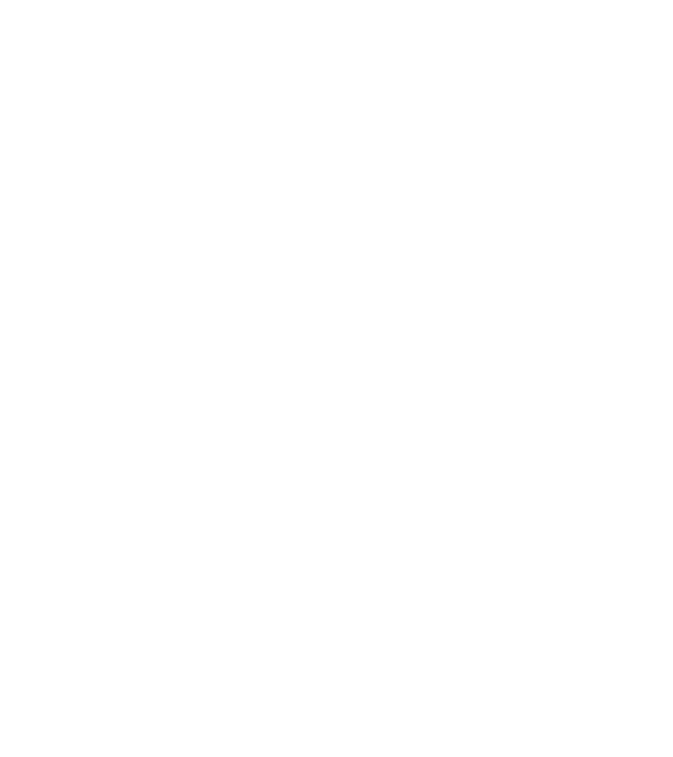 YIN model gri pe tricou