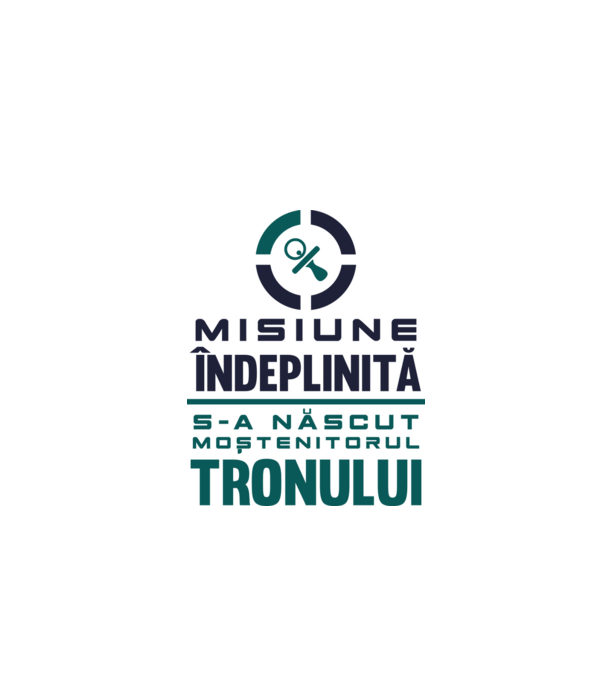 Misiune îndeplinită model gri pe tricou