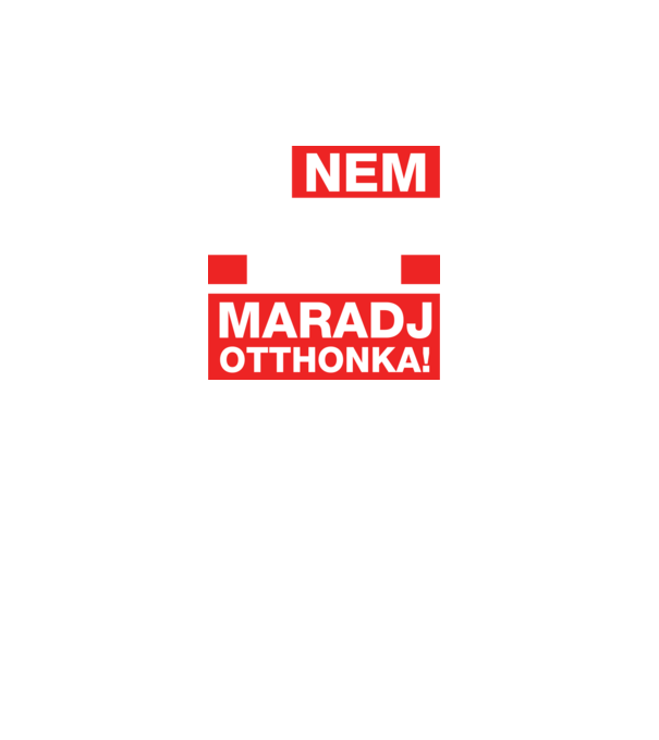 model turcoaz pe tricou