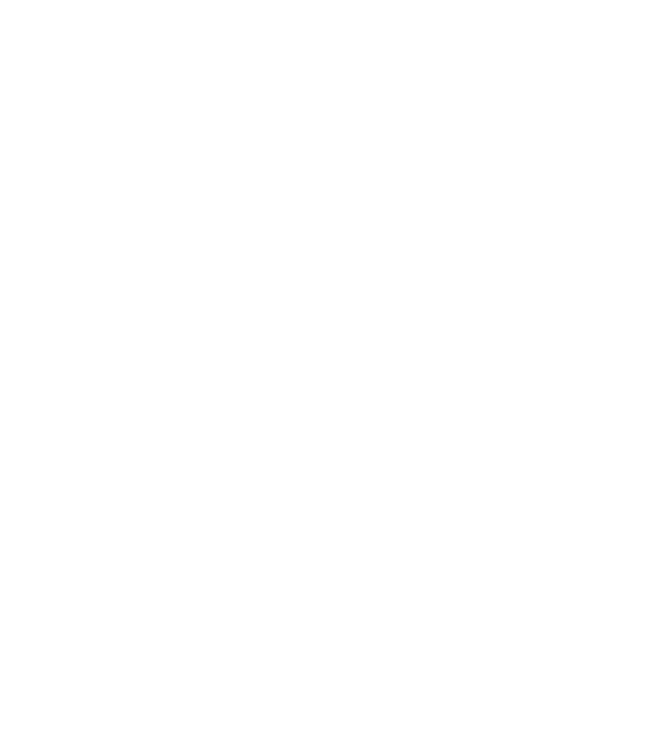 Zugravul model negru pe tricou