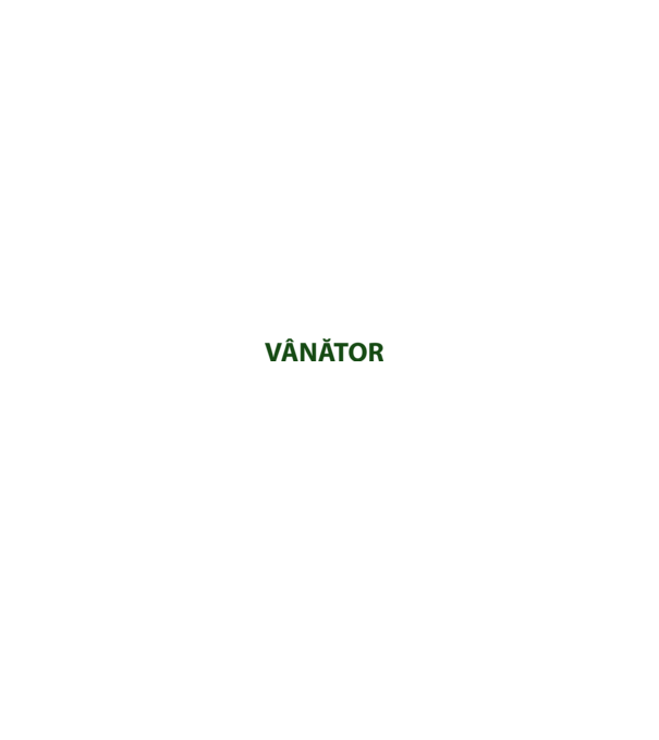 fii calm, sunt vânător model gri pe tricou