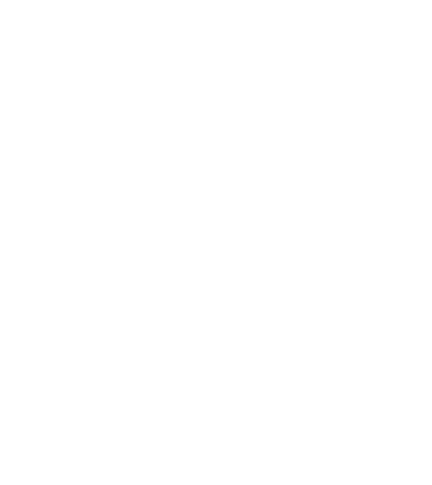 All men are created equal but only the best are born in november model albastru închis pe tricou