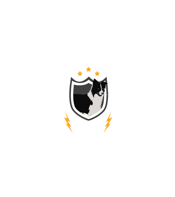 serviciu de securitate - securitate - persistență - 24 de ore pe zi model negru pe tricou