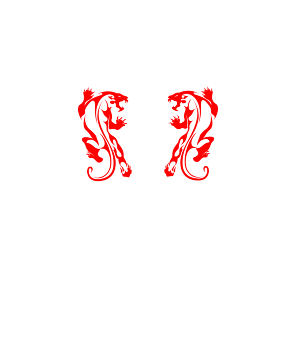 Aikido 2 model turcoaz pe tricou
