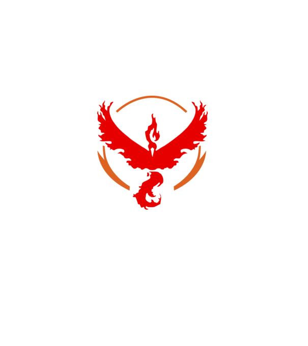 Valor team logo model alb pe tricou