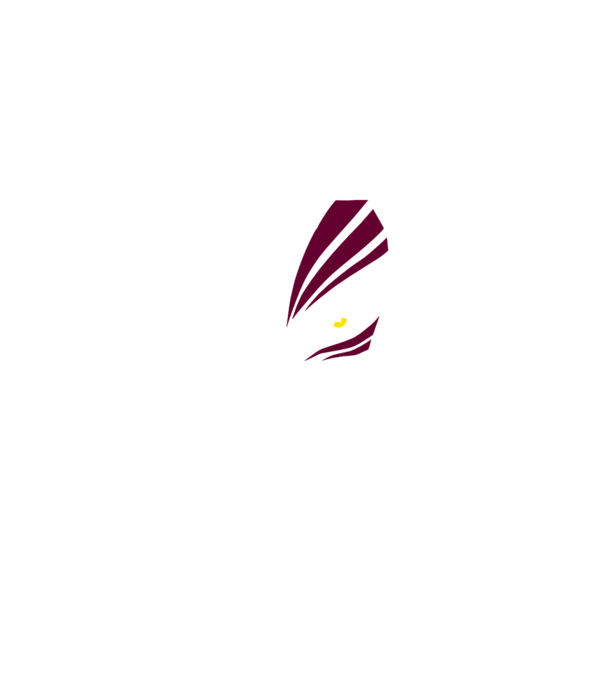 Ichigo Hollow Mask model negru pe tricou