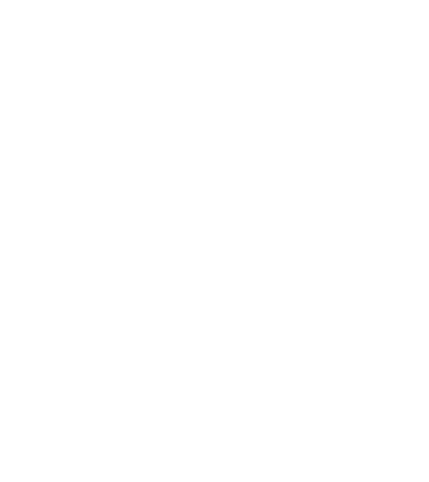 area51 running team model gri pe tricou