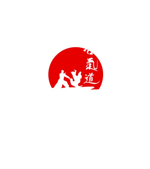 Aikido model negru pe tricou