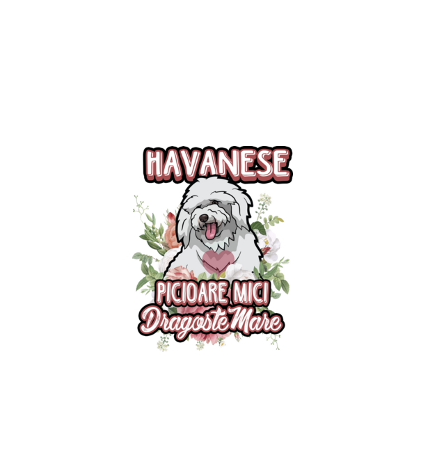 havanese : picioare mici dragoste mare model alb pe tricou