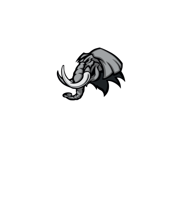 Elephant model galben pe tricou