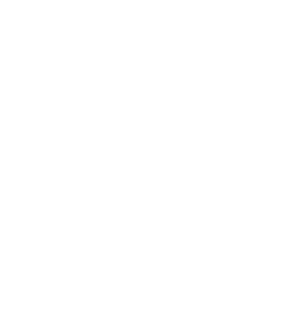 Bunicdidas model alb pe tricou