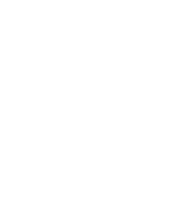 √400 de ani model negru pe tricou