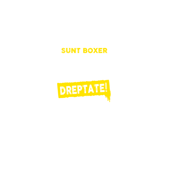 sunt boxer - pentru a economisi timp, să reținem că am întotdeauna dreptate model negru pe tricou