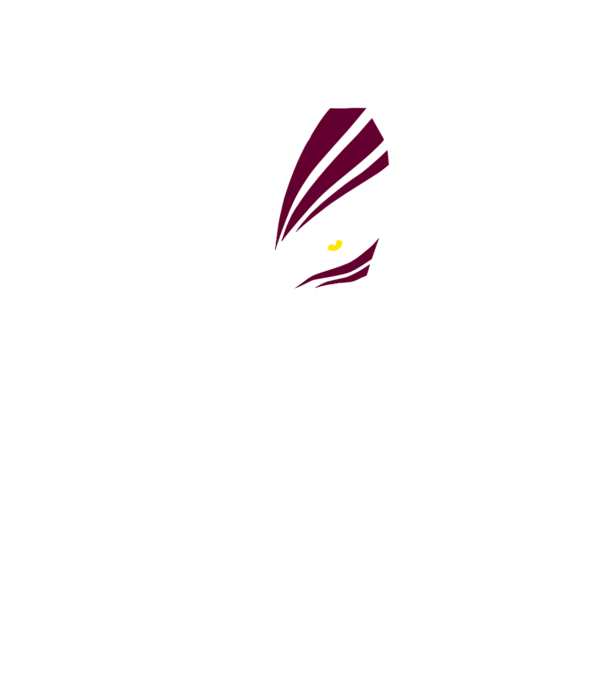 Ichigo Hollow Mask model negru pe tricou