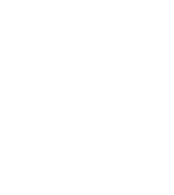 LOVE Vizsla model gri pe tricou